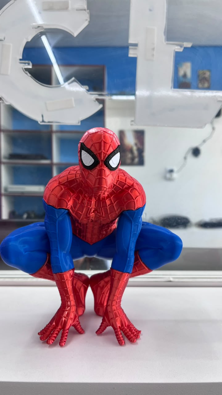 HOMEM ARANHA